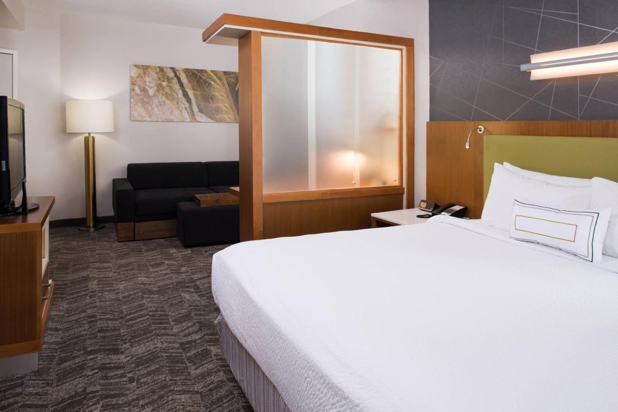 Springhill Suites By Marriott Huntsville Downtown Dış mekan fotoğraf